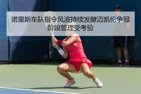 诺里斯车队指令风波持续发酵迈凯伦争冠阶段管理受考验
